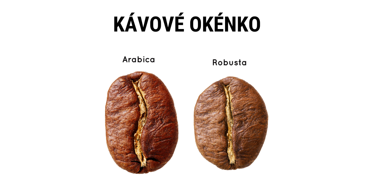 Arabica vs Robusta