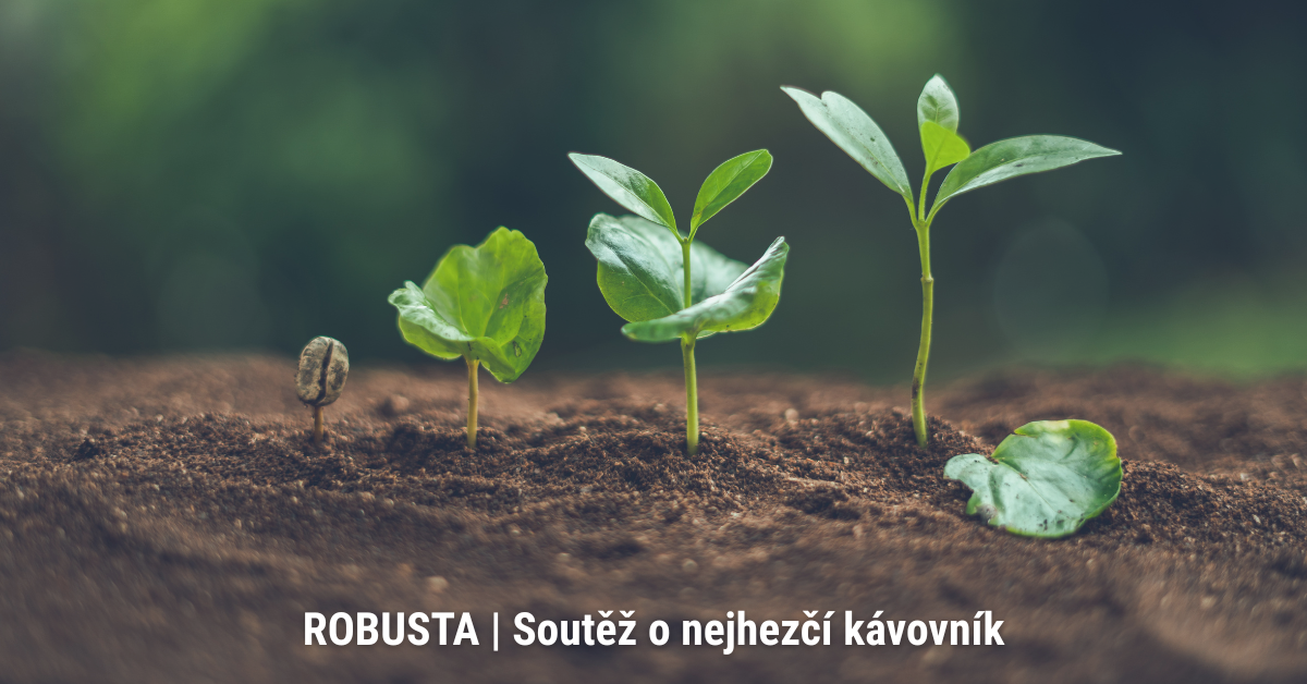 Robusta 2025 soutez