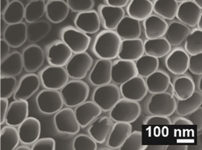 Magnified top view of laser-annealed TiO2 nanotubes with the height of 20um
