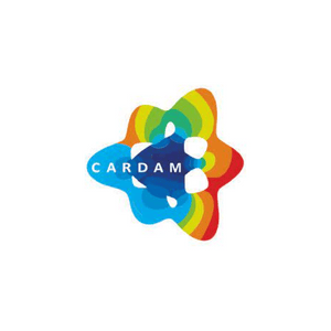 Logo canvas pro web (18)
