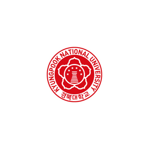 Logo canvas pro web (10)