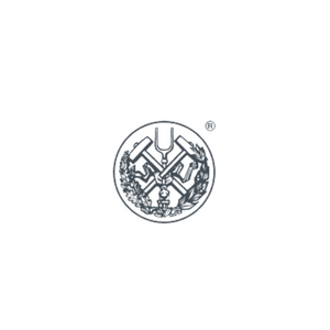 Logo canvas pro web (24)