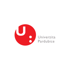 Logo canvas pro web (7)