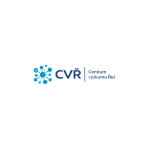 Logo canvas pro web (7)