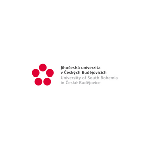 Logo canvas pro web (8)
