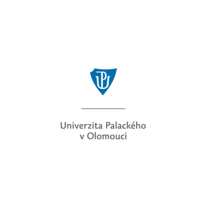 Logo canvas pro web (9)