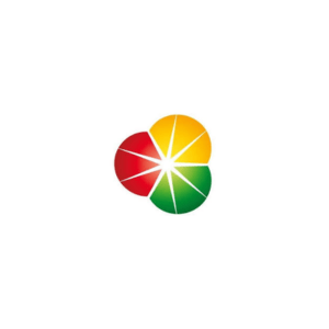 Logo canvas pro web (9)