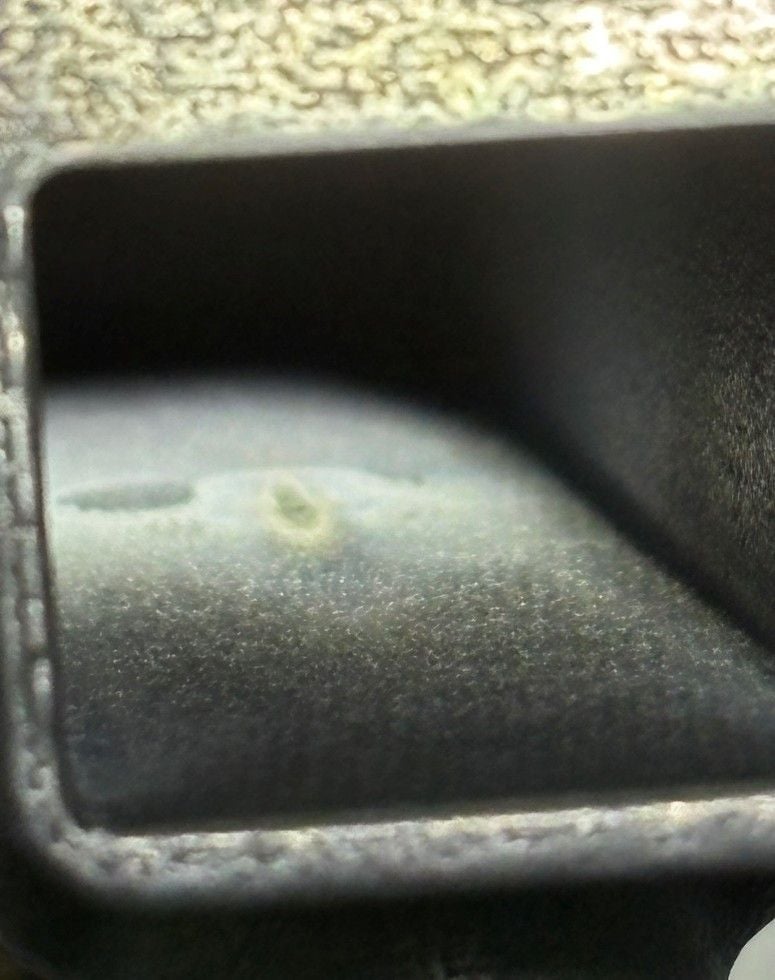 Picture13