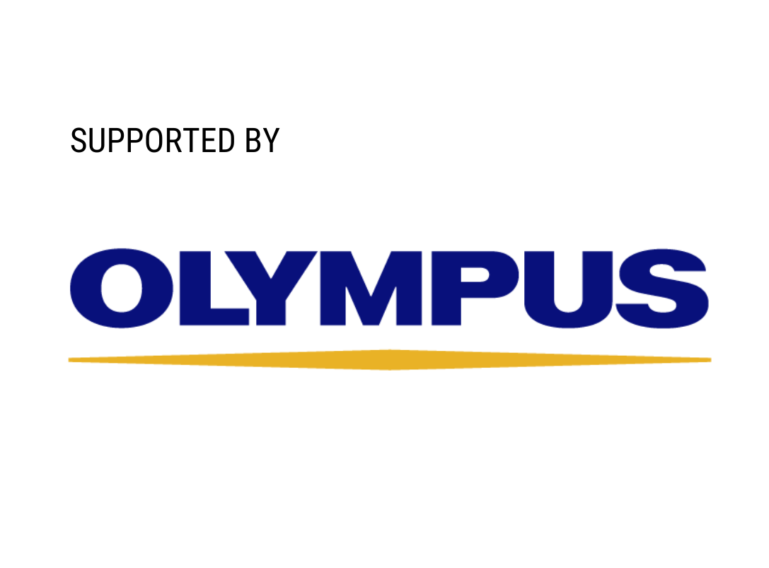 dlaždice olympus